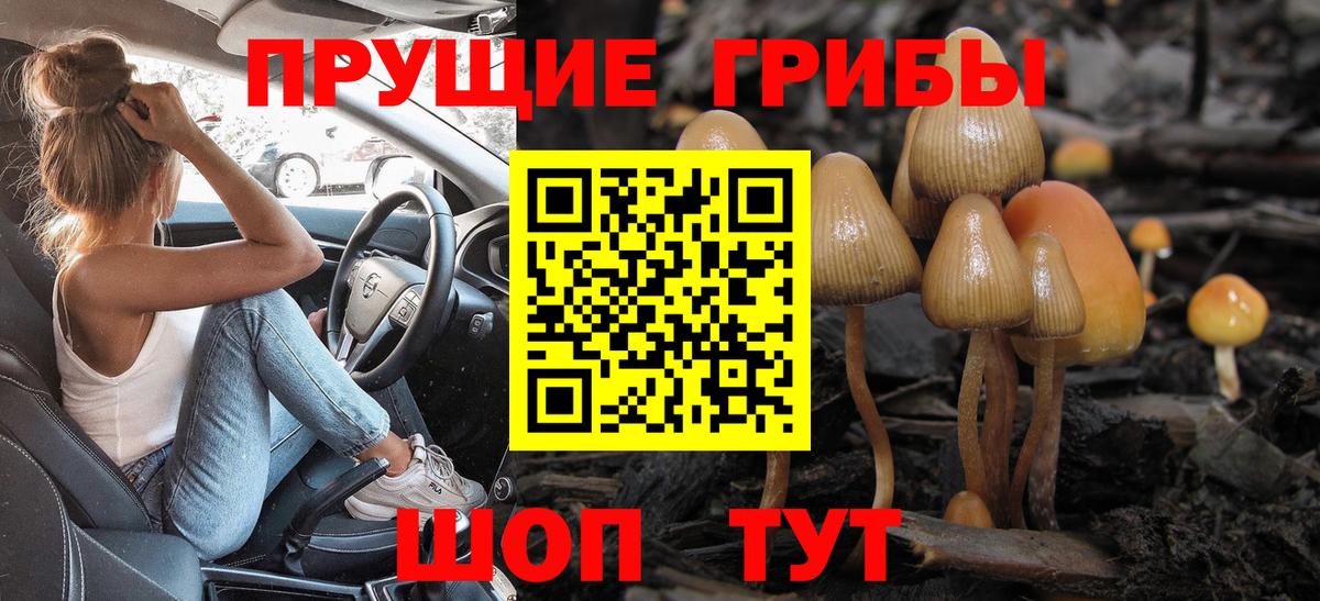 Галлюциногенные грибы Psilocybe Когалым