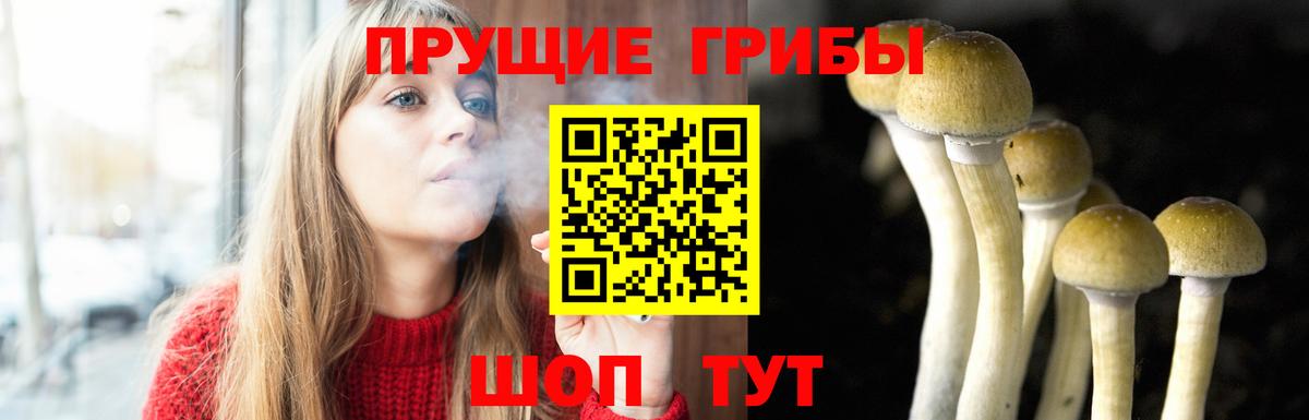 Псилоцибиновые грибы мицелий  Псилоцибиновые грибы Magic Shrooms  Когалым  Вход с VPN 